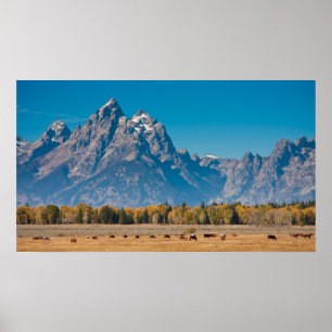 Grand Teton Poster