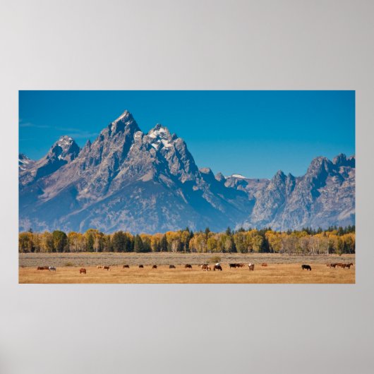 Grand Teton Poster (Voorkant)