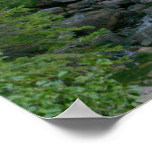 Grand Teton Poster (Hoek)