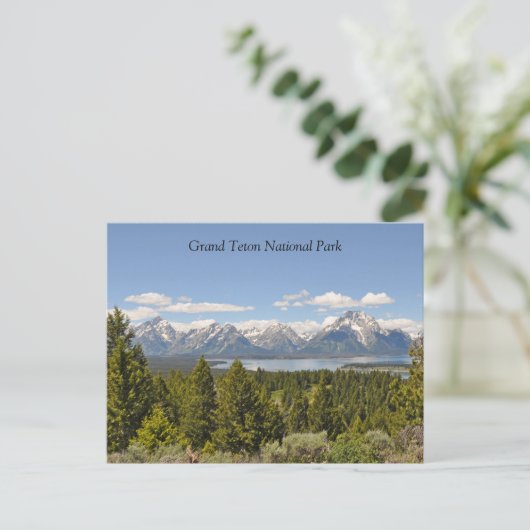 Grand Teton Schilderachtig Uitzicht Briefkaart (Staand voorkant)
