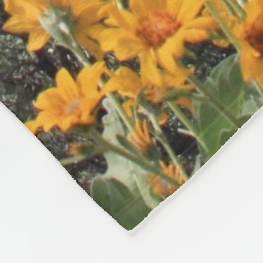 Grand Teton Springtime Souvenir Foto Fleece Deken (Hoek)