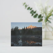 Grand Teton Sunrise op Cottonwood Creek (Staand voorkant)