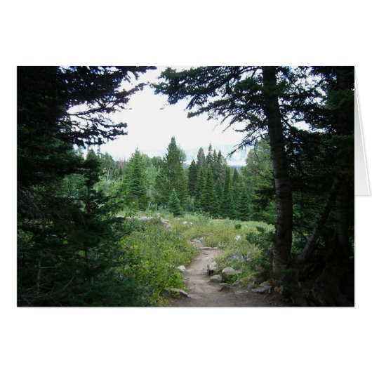 Grand Teton Trail (Voorkant Horizontaal)