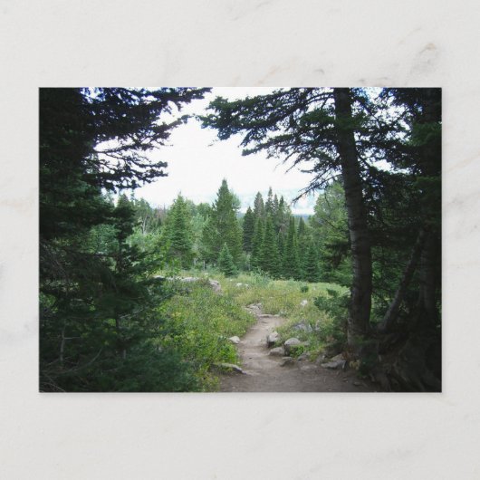 Grand Teton Trail Briefkaart (Voorkant)