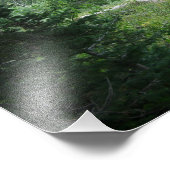 Grand Teton Trail Foto Afdruk (Hoek)