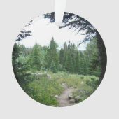 Grand Teton Trail Ornament (voorkant)