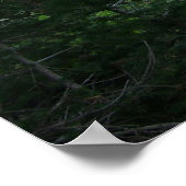 Grand Teton Trail Poster (Hoek)