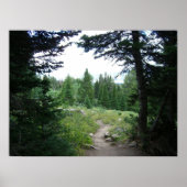 Grand Teton Trail Poster (Voorkant)