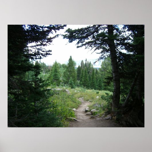 Grand Teton Trail Poster (Voorkant)