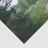 Grand Teton Trail Tissuepapier (Detail)