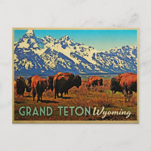 Grand Teton Wyoming Buffalo Briefkaart