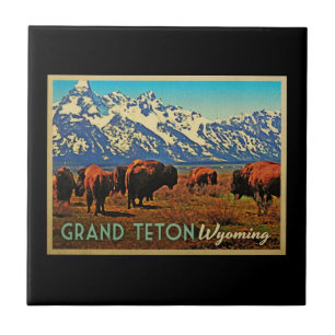 Grand Teton Wyoming Buffalo Tegeltje
