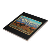 Grand Teton Wyoming Buffalo Tegeltje (Zijkant)