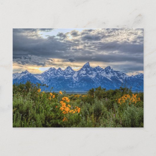 Grand Tetons Briefkaart (Voorkant)