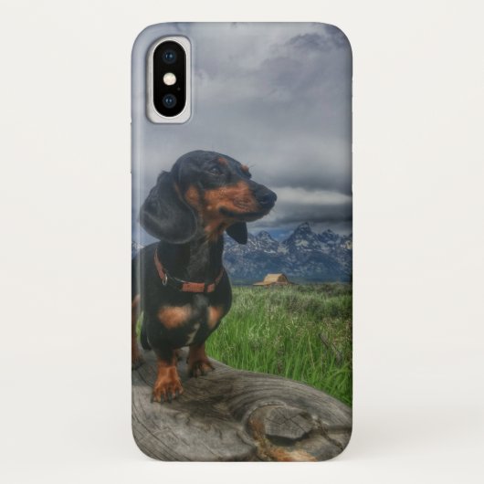 Grand Tetons Case-Mate iPhone Case (Achterkant)