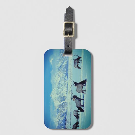 Grand Tetons en Elk in het Bagagelabel van de wint (Voorkant (verticaal))