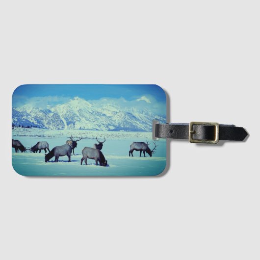 Grand Tetons en Elk in het Bagagelabel van de wint (Voorkant (horizontaal))