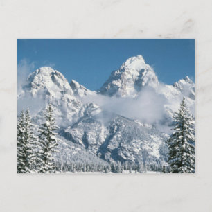 Grand Tetons in de winter Briefkaart