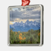 Grand Tetons Metalen Ornament (Links)