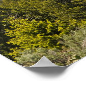 Grand Tetons Mountains Schilderachtig Uitzicht Pos Poster (Hoek)