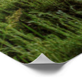 Grand Tetons Poster (Hoek)