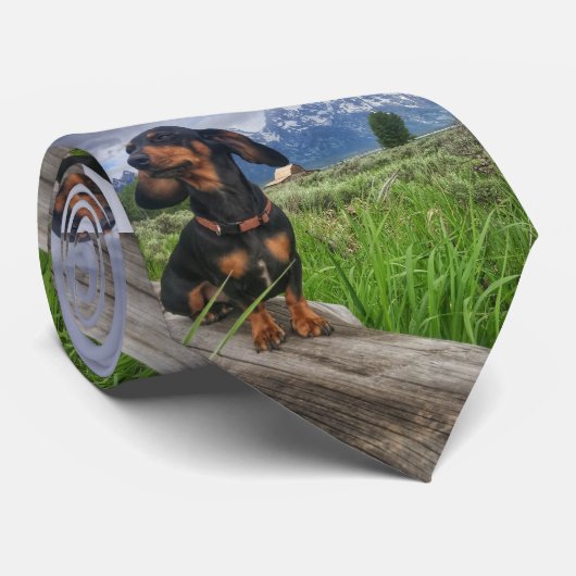 Grand Tetons Stropdas (Opgerold)