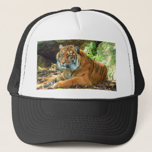 Grand Tiger Truckers Pet