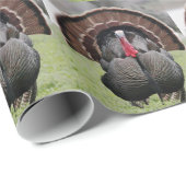 Grand Turkey Cadeaupapier (Rol Hoek)