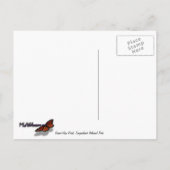 Grand Uitzicht Point in het Nationaal Park Canyonl Briefkaart (Achterkant)