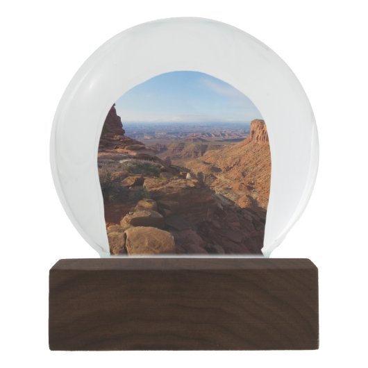 Grand Uitzicht Point in het Nationaal Park Canyonl Sneeuwbol (Voorkant)