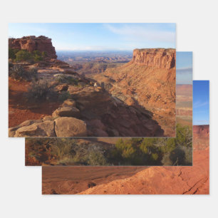 Grand View Point in Canyonlands National Park Inpakpapier Vel
