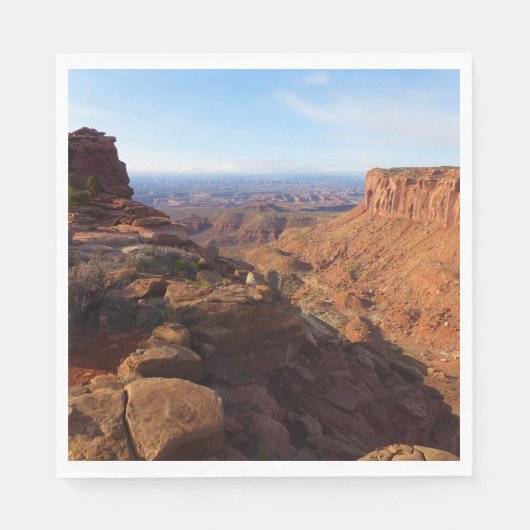 Grand View Point in Canyonlands National Park Servetten (Voorkant)