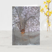 Grandaddy Longlegs Kaart (Gele Bloem)