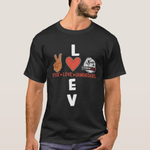 Grandadsaurus dinosaurus rex schattige Grandad Gra T-shirt