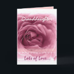 GRANDDAUGHTER Birthday - Roze roze en ongeremde ar Kaart<br><div class="desc">Deze verjaardagskaart met zijn pastelroze roze roos en kant is een mooie manier om je zeer speciale kleindochter een Happy Birthday toe te wensen. Om meer van mijn verjaardagskaarten te zien,  typ in of knip en plak in het zoekvak van Zazzle:  jaklinart-verjaardagskaart</div>