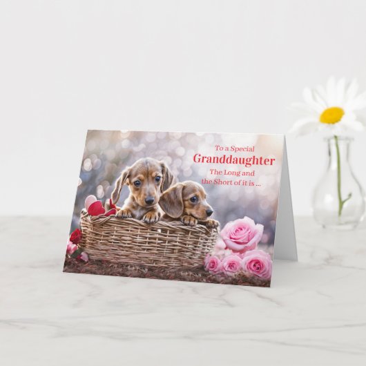 Granddaughter Happy Valentines Day Cute Puppy Dogs Kaart (Kleine Plant)