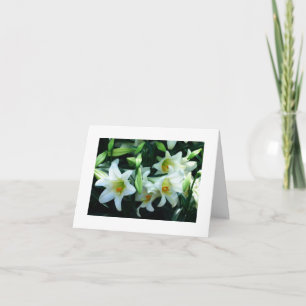 *GRANDDAUGHTER* U BENT MEER GELADEN KAART