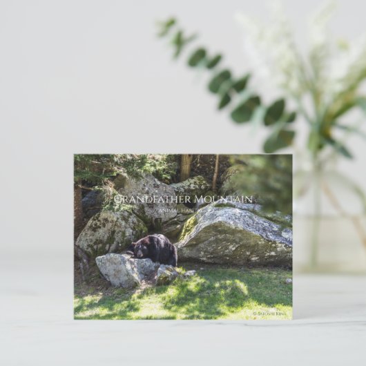 Grandfather Mountain Park Briefkaart (Staand voorkant)