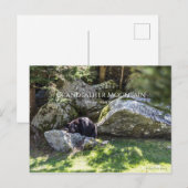 Grandfather Mountain Park Briefkaart (Voorkant / Achterkant)