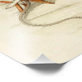 Grandfather Mouse Reading Newspapier Foto Afdruk (Hoek)