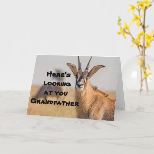 "GRANDFATHER" WHO HUNTS - FUN VADERDAG KAART (Gele Bloem)