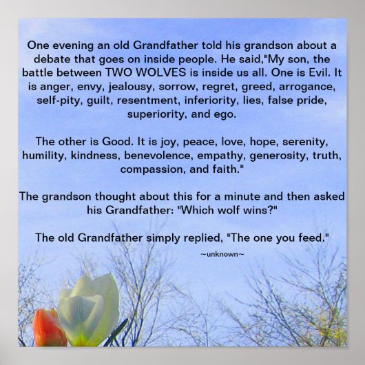 Grandfather's Wisdom Poster (Voorkant)
