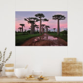 Grandidier Baobab Forest Poster (Keuken)