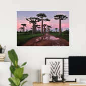 Grandidier Baobab Forest Poster (Thuiskantoor)