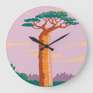 Grandidiers Baobab Grote Klok