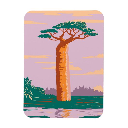 Grandidiers Baobab Magneet (Verticaal)