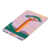 Grandidiers Baobab Magneet (Linkerzijde)