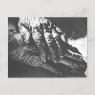 Grandma Hands Briefkaart