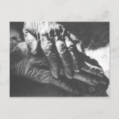 Grandma Hands Briefkaart (Voorkant)