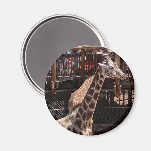 Grandma Magnet #1 (Voorkant / Achterkant)